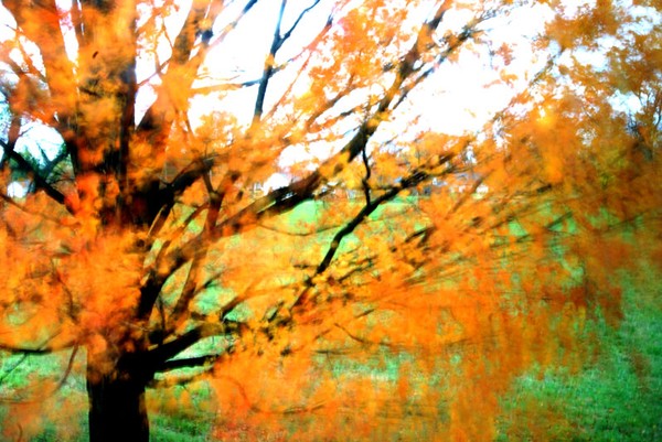 wind