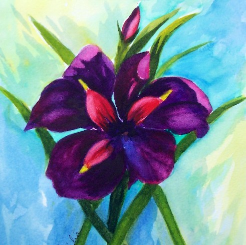 Black Iris