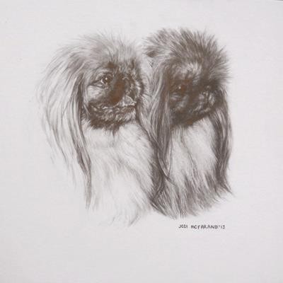 Dogs1