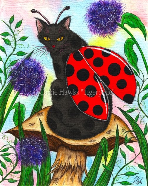 Logan The Ladybug Fairy Cat