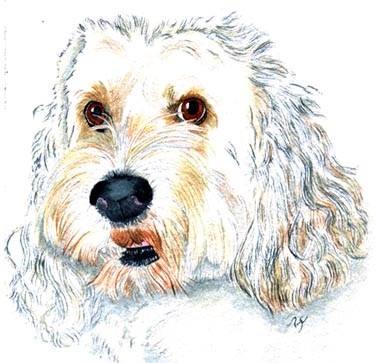 Maggie