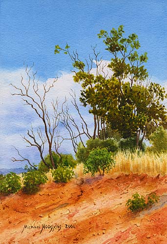 Bindoon Hillside
