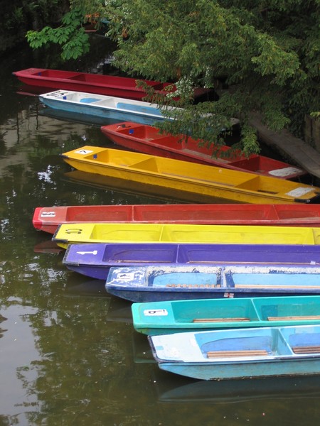 The Colourful River
