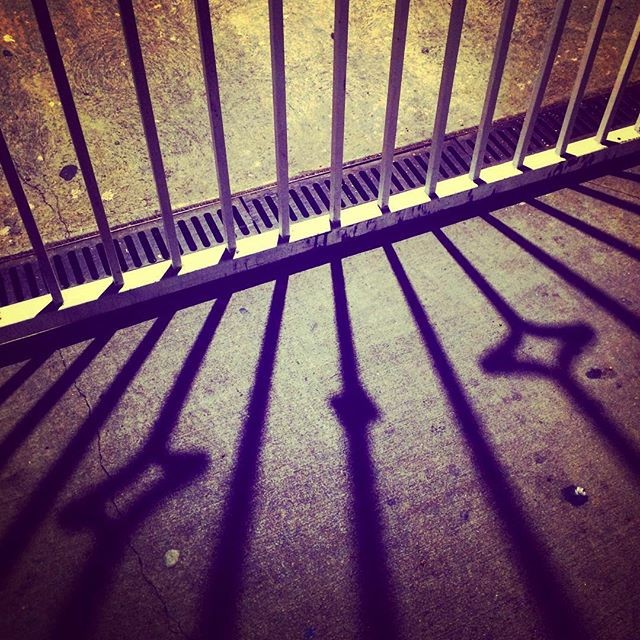 Gridnight