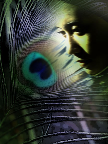 Ostrich feather