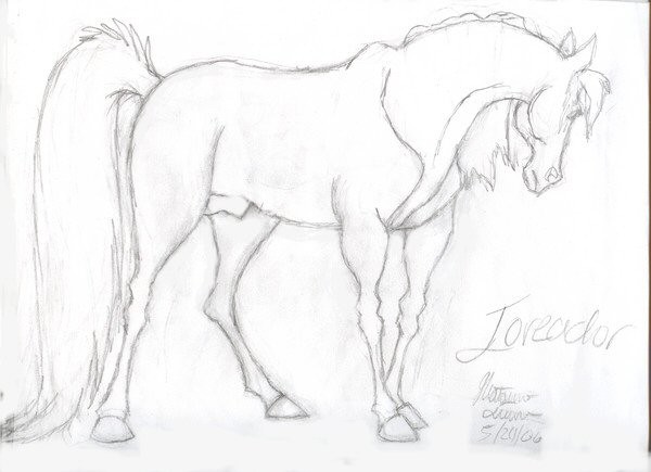 Toreador