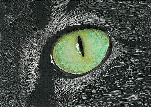Cat's Eye