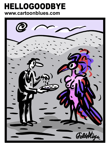 Bird