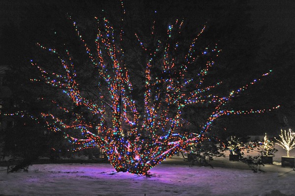 Longwood Gardens