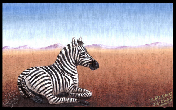 On The Plains