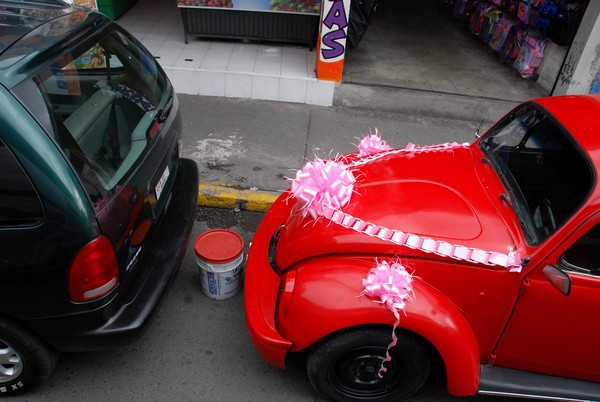 Red Bug Wedding