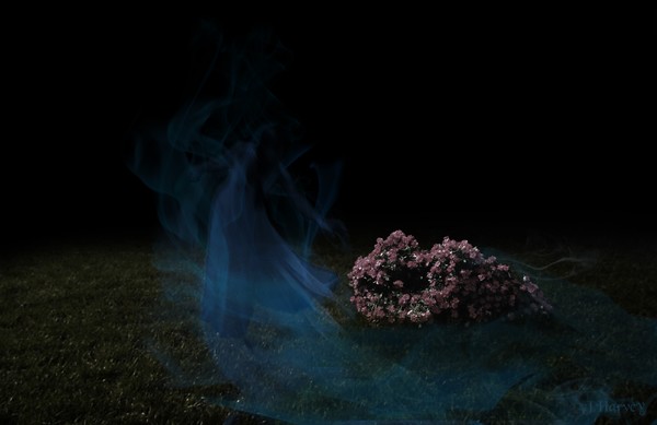 Ghost Picking Roses