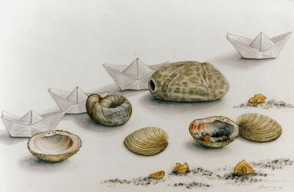 with sea urchin
