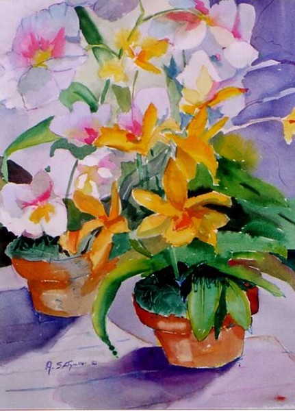 Orchids 1
