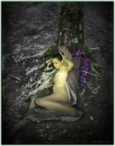 Forest Treasure