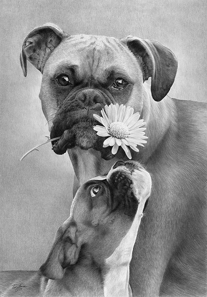 Flowery Expression