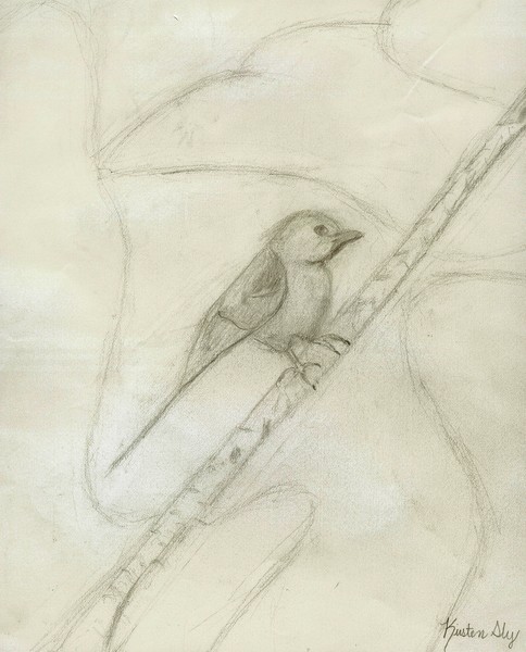 Mocking Bird
