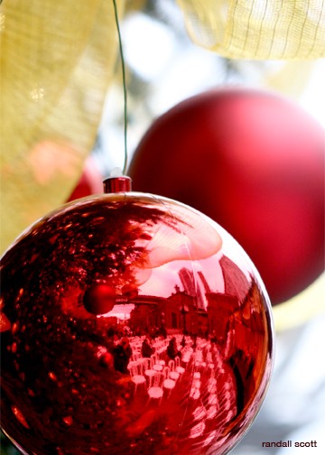 Tis The Season...
