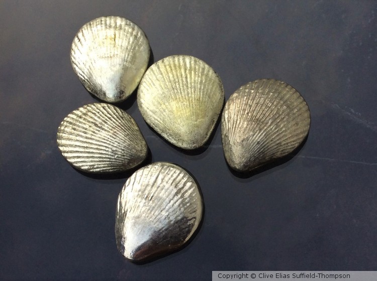 Mixed Clam