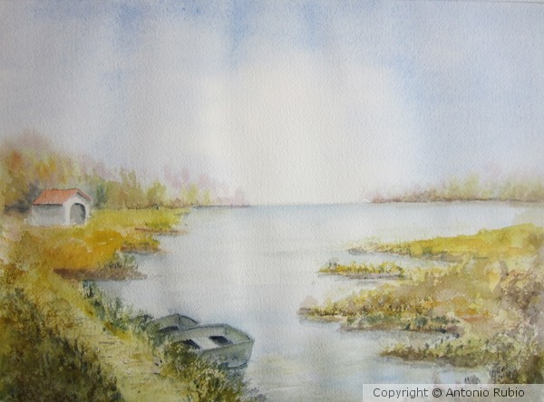 just a landscape
