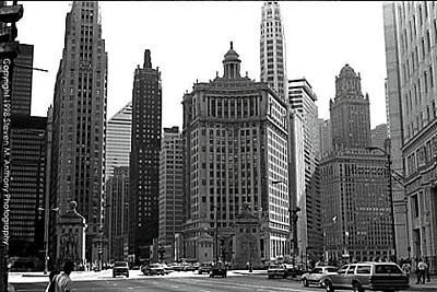Chicago Titans  Copyright Steven M. Anthony Photo