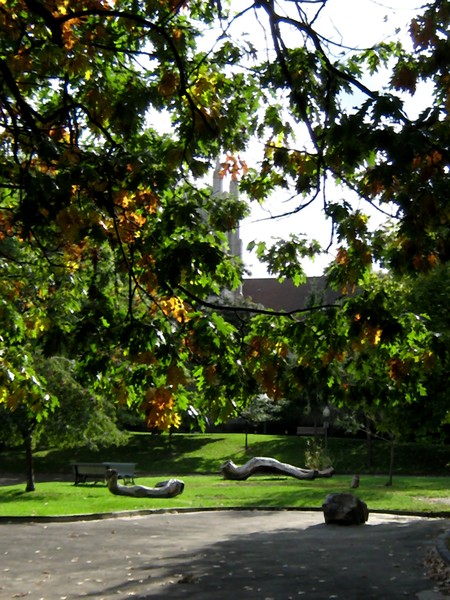Autumn In The Park (Thirty)
