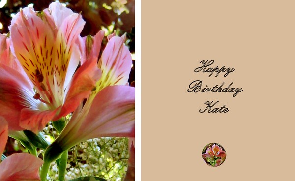 Happy Birthday Kate