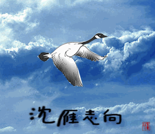 flying 