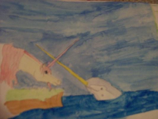 The Unicorn and the Narwhal
