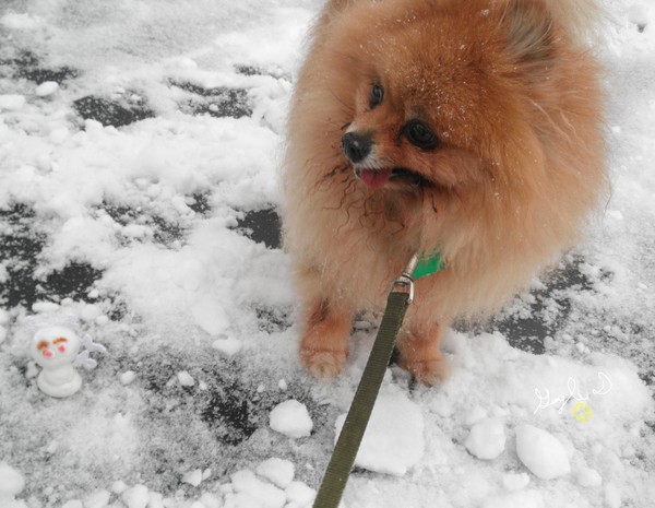 Prince and Snow