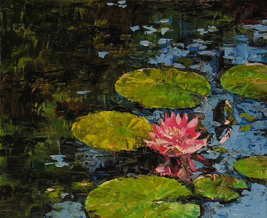 Waterlily