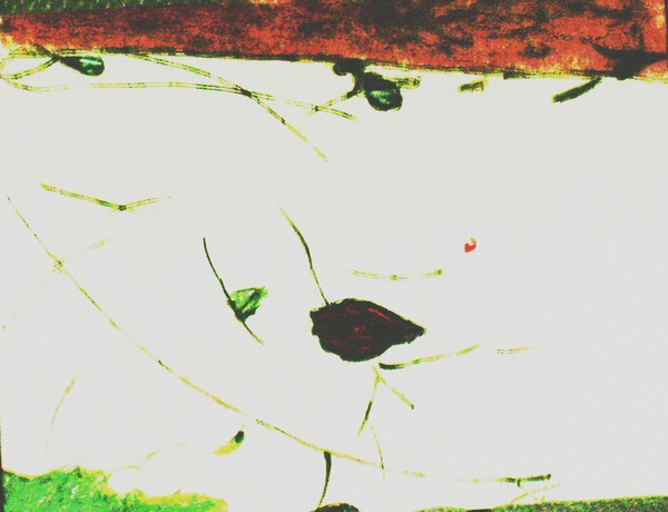 doghair art/on a mirror