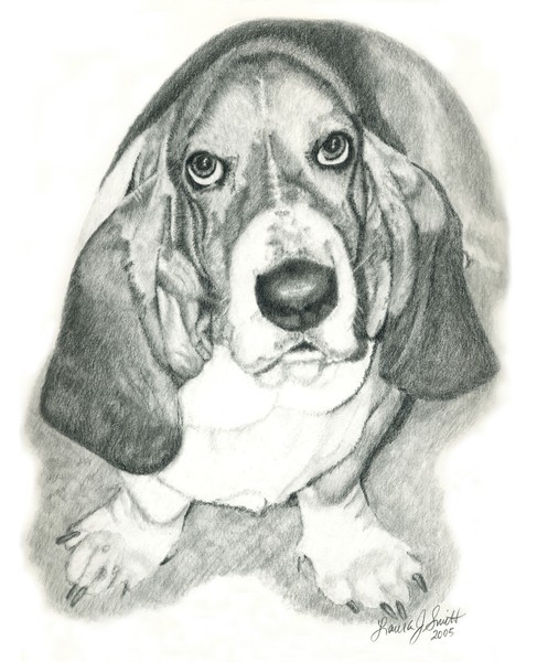 Corky by Laura Smith | ArtWanted.com