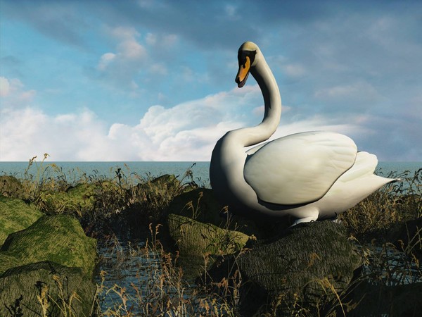 Swan Song