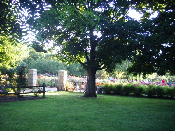 SUMMER AT THE ROSE PARK