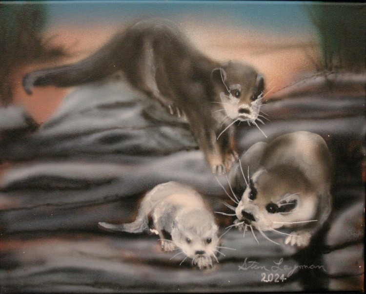 Otter Morning
