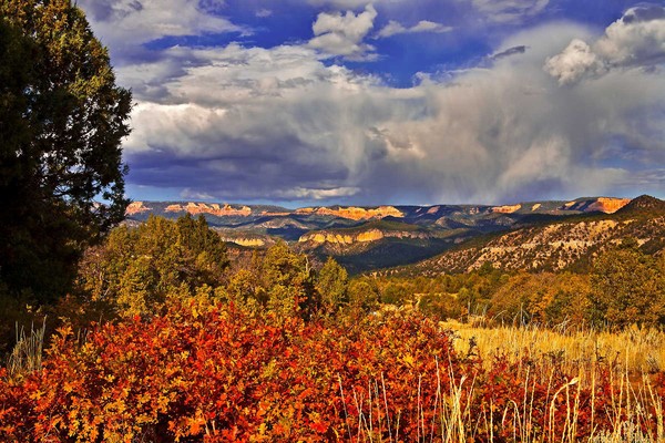 Autumn Colors in Strawberry Canyon