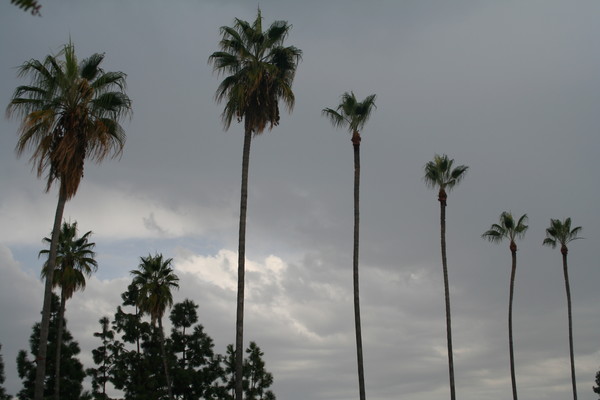 Thunder Storm
