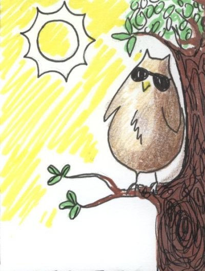 Owl in Day