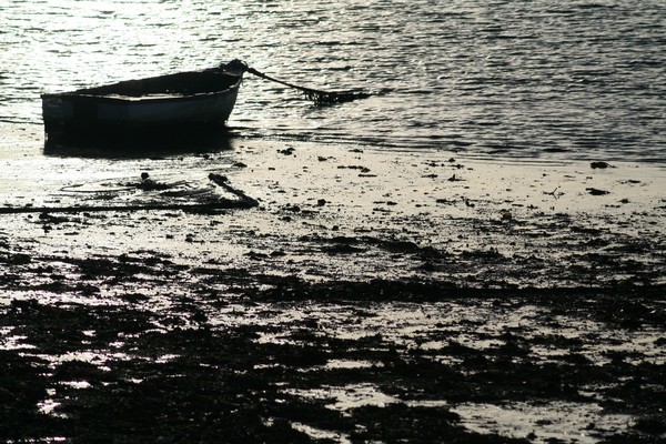Lonesome Boat