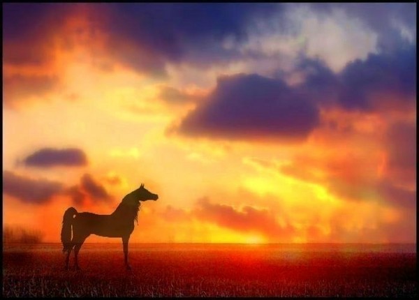 Guarding the Sun