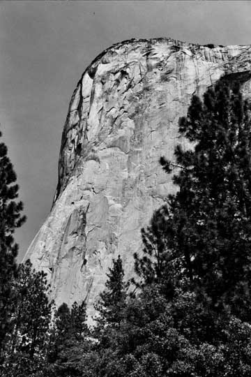 The Captain (aka El Capitan)