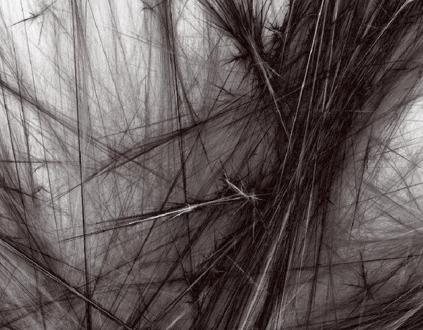 FLUX 10