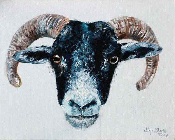 Sheep in oil