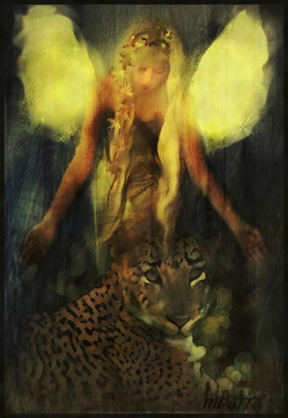 The Kingdom