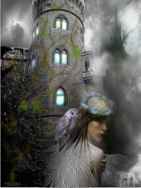 Once Upon The Night