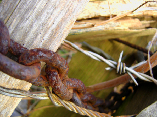 Wood Chain Barbedwire