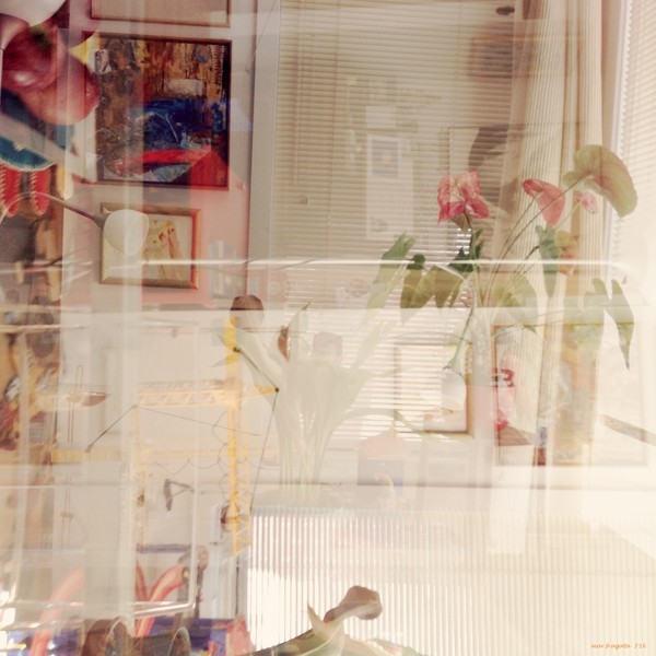morning light reflections