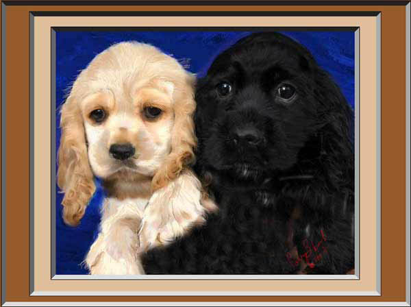 pick of the litter
