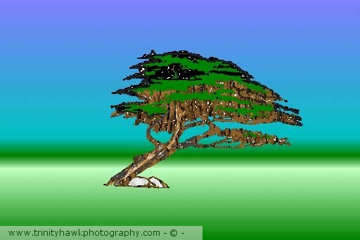 Tree of Life